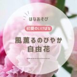 初夏のいけばな｜風薫るのびやか自由花