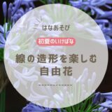 初夏のいけばな｜線の造形を楽しむ自由花