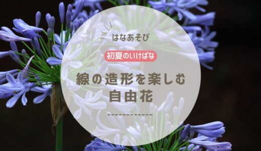 2026_片岡いけばな教室6月_3