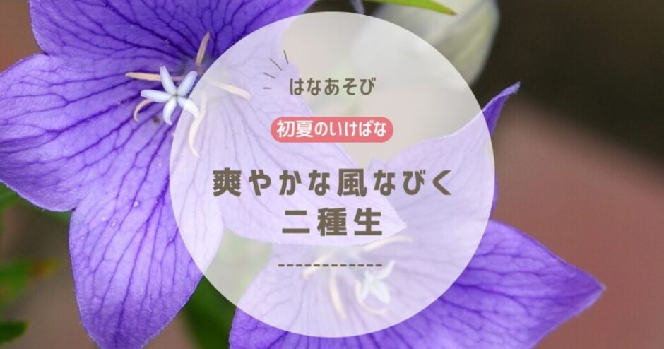 2026_松野いけばな教室6月分_1