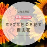 初夏のいけばな｜ポップな色のお花で自由花