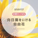 2026_アイミティ浜松いけばな(池坊)5月分_3