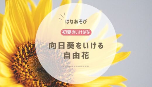 2026_アイミティ浜松いけばな(池坊)5月分_3