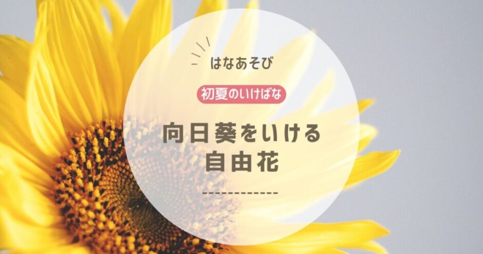 2026_アイミティ浜松いけばな(池坊)5月分_3