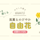 片岡いけばな教室_202606_1