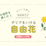 松野いけばな教室_202605_3
