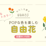 松野いけばな教室_202606_2