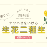 片岡いけばな教室_202606_4