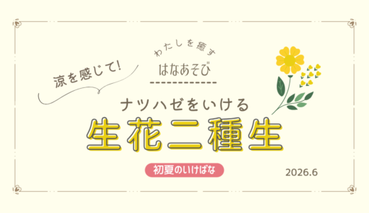 初夏のいけばな｜ナツハゼでつくる涼やかな二種生
