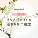 初夏のいけばな｜ナツハゼでつくる涼やかな二種生