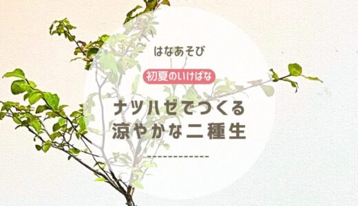 2026_片岡いけばな教室6月_4
