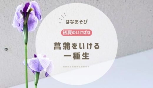 2026_松野いけばな教室5月_1