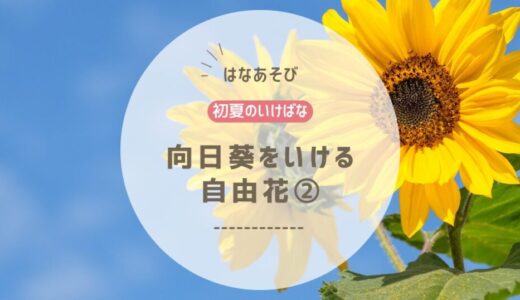 2026_松野いけばな教室5月_2