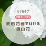 初夏のいけばな｜変形花器をつかった自由花