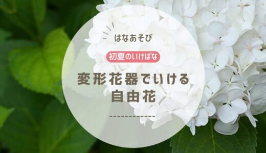 2026_アイミティ浜松いけばな(池坊)5月_2