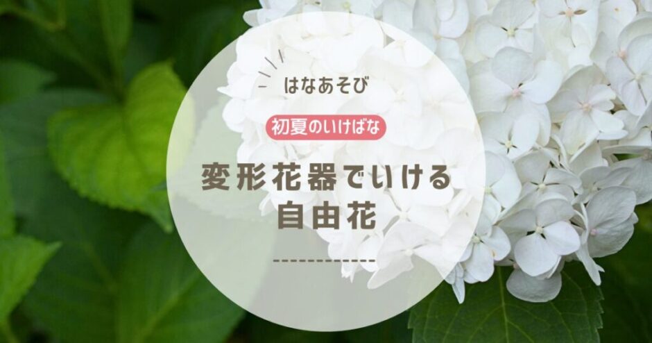 2026_アイミティ浜松いけばな(池坊)5月_2