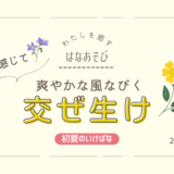 松野いけばな教室_202606_1