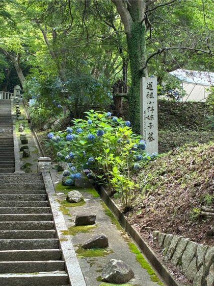 2026年度 道祖小野妹子墓前祭