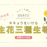 片岡いけばな教室_202606_5