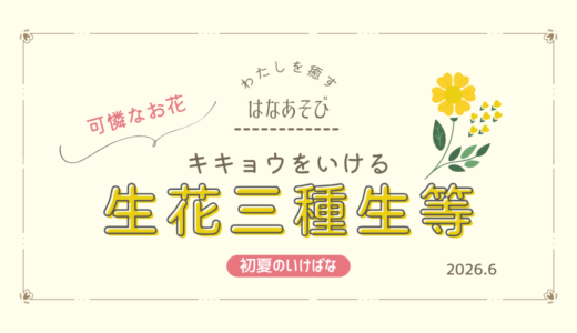初夏のいけばな｜可憐なキキョウをいける生花三種生など