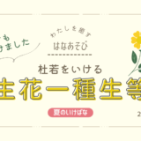 片岡いけばな教室_202607_1