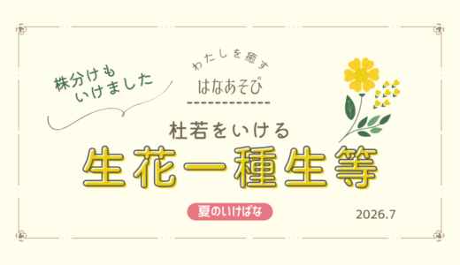 夏のいけばな｜杜若をいけた生花一種生など