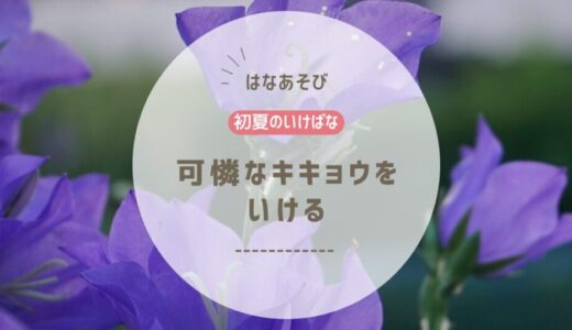 2026_片岡いけばな教室6月_5