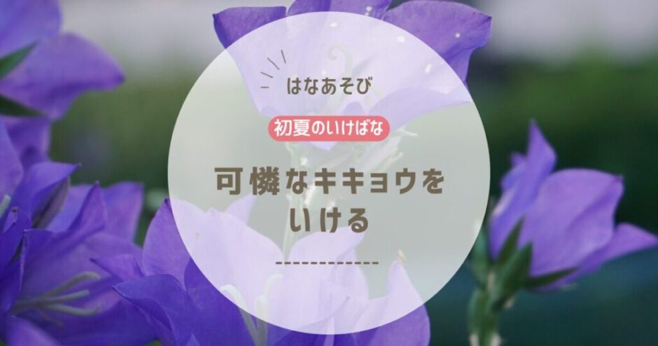 2026_片岡いけばな教室6月_5