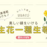 片岡いけばな教室_202607_3