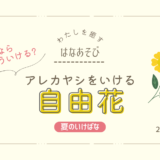 松野いけばな教室_202607_2