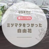 夏のいけばな｜ミツマタをつかった自由花