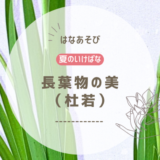 夏のいけばな｜杜若をいける　長葉物の美