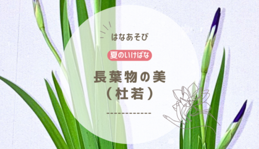 2026_松野いけばな教室_7月分_1