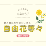 夏のいけばな｜夏の豊かな生命をいける自由花など