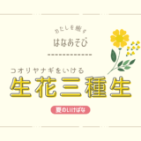 夏のいけばな｜コオリヤナギをいける生花三種生