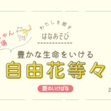 夏のいけばな｜夏の豊かな生命をいける自由花など
