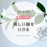 夏のいけばな｜美しい緑をいける