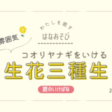 夏のいけばな｜コオリヤナギをつかった生花三種生