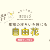 晩夏のいけばな｜季節の移ろいを感じる自由花など