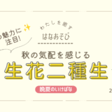 晩夏のいけばな｜秋の気配を感じる生花二種生
