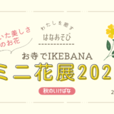 秋のいけばな｜お寺でIKEBANAミニ花展2026秋　自由花