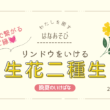 晩夏のいけばな｜美しいリンドウをいけた生花二種生