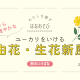 秋のいけばな｜ユーカリをいけた自由花・生花新風体