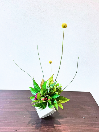 池坊 片岡いけばな教室 自由花