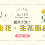 片岡いけばな教室｜優美さ漂う自由花・生花新風体