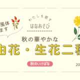 片岡いけばな教室｜秋の華やかな自由花、生花二種生、生花新風体